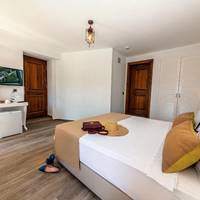 Deluxe Suite with Sea View
