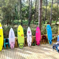 Deluxe Cottage Floresta Forest View