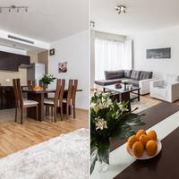 Deluxe One-Bedroom Apartment