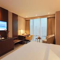 Deluxe Double or Twin Room with City View