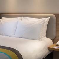 Standard Queen Room with Roll-in Shower