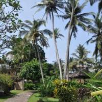 Double Room with Pool View