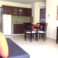 One-Bedroom Apartment with Balcony - 215