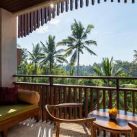 Arkara Jungle Suite