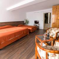 Triple Room with Balcony and View