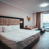 Large Double or Twin Room