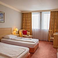 Business Twin Room