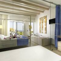 Deluxe One-Bedroom Apartment
