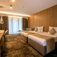 Superior Double or Twin Room with Extra Bed ( 2 Adults + 1 Child) - Free Spa Access