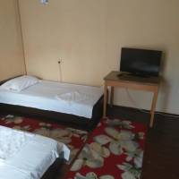 Large Double or Twin Room