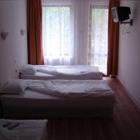 Triple Room with Balcony and Park View