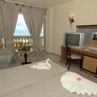 Double Room with Park View (3 Adults)