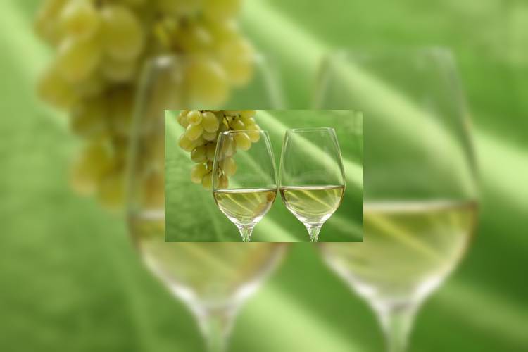 Испания: Finca La Reñana – лучшее вино в мире