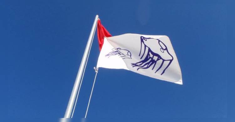 Испания: На Балеарских островах будут предупреждать о медузах