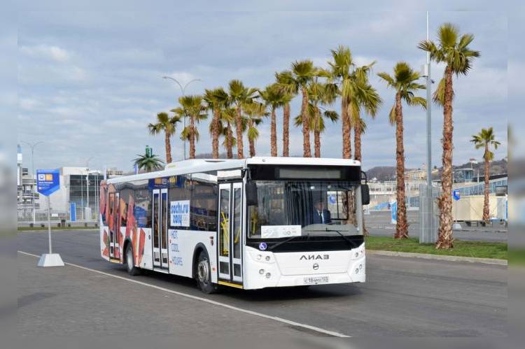 Россия: Сочинские автобусы перейдут на безналичную оплату