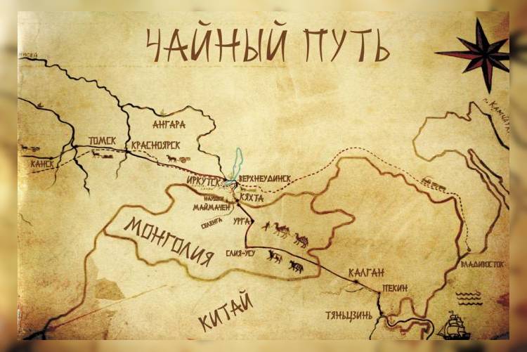 В Тюменской области запустили «Чайный путь» 