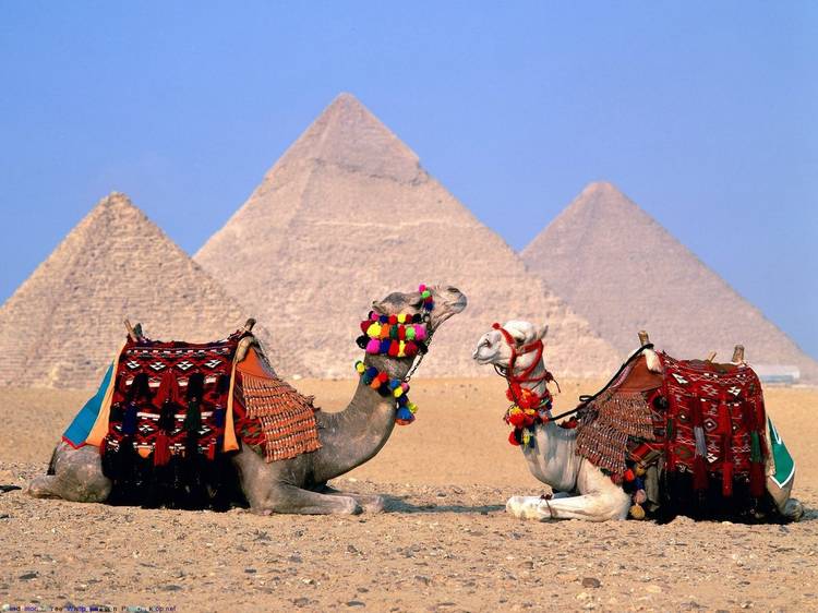Молчание египтян: власти страны скрывают данные о количестве туристов