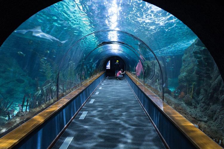 
В Турции открылся первый в мире аквариум внутри туннеля
