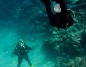 Dahab DiveBuddy