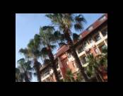 Club Hotel Tess