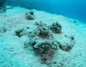 Красное море, Египет, Хургада избранное 1