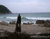   . Koh Tao, Pangan, Thailand